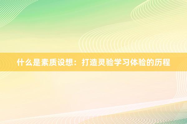 什么是素质设想：打造灵验学习体验的历程