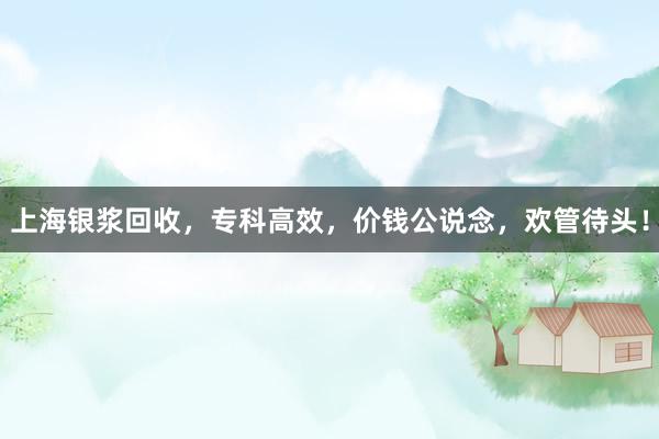 上海银浆回收，专科高效，价钱公说念，欢管待头！