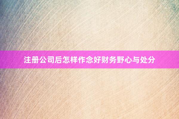 注册公司后怎样作念好财务野心与处分