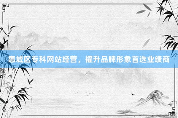 惠城区专科网站经营，擢升品牌形象首选业绩商