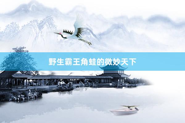 野生霸王角蛙的微妙天下